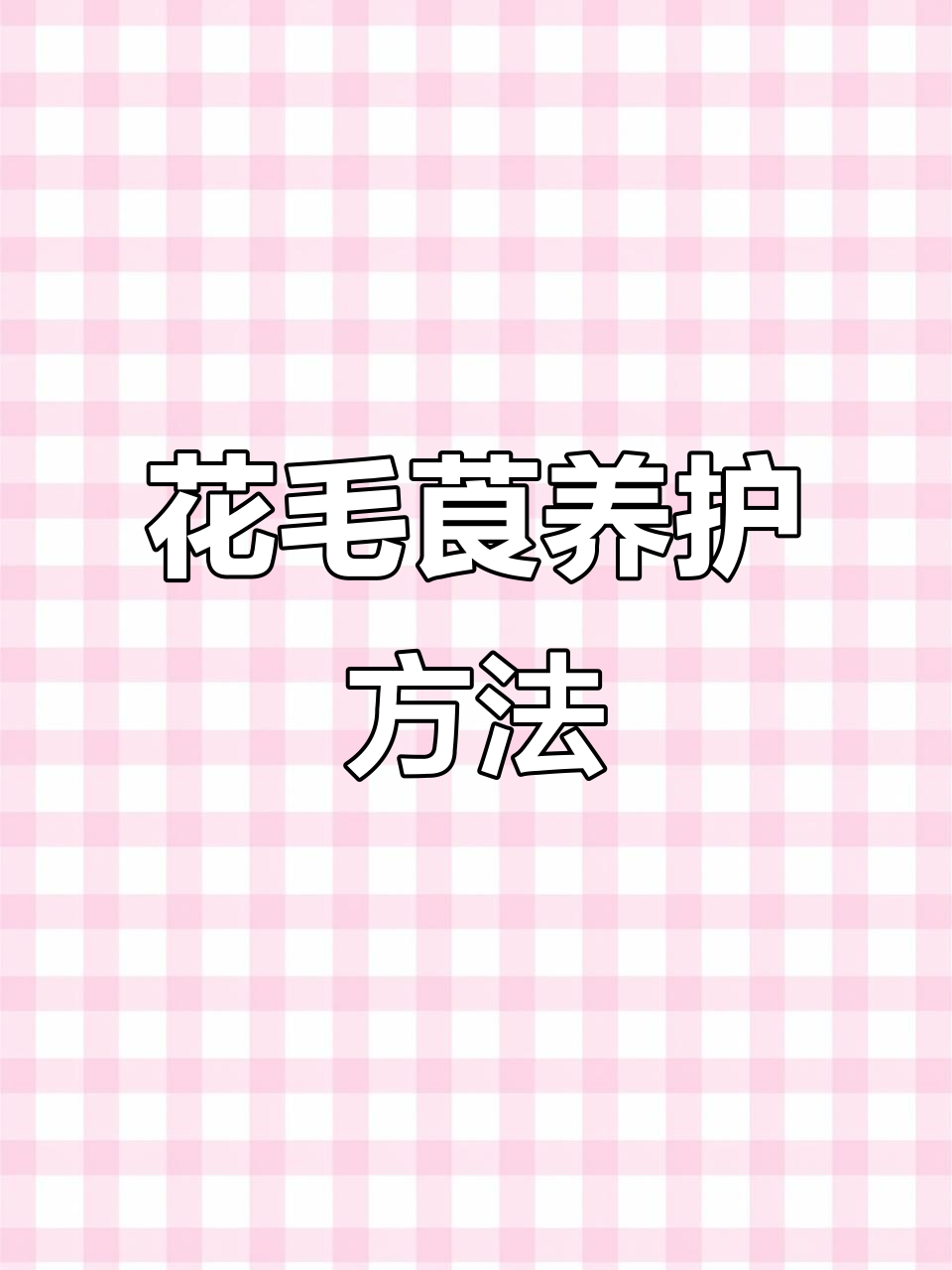 花毛茛养殖技巧:从催芽到开花全攻略