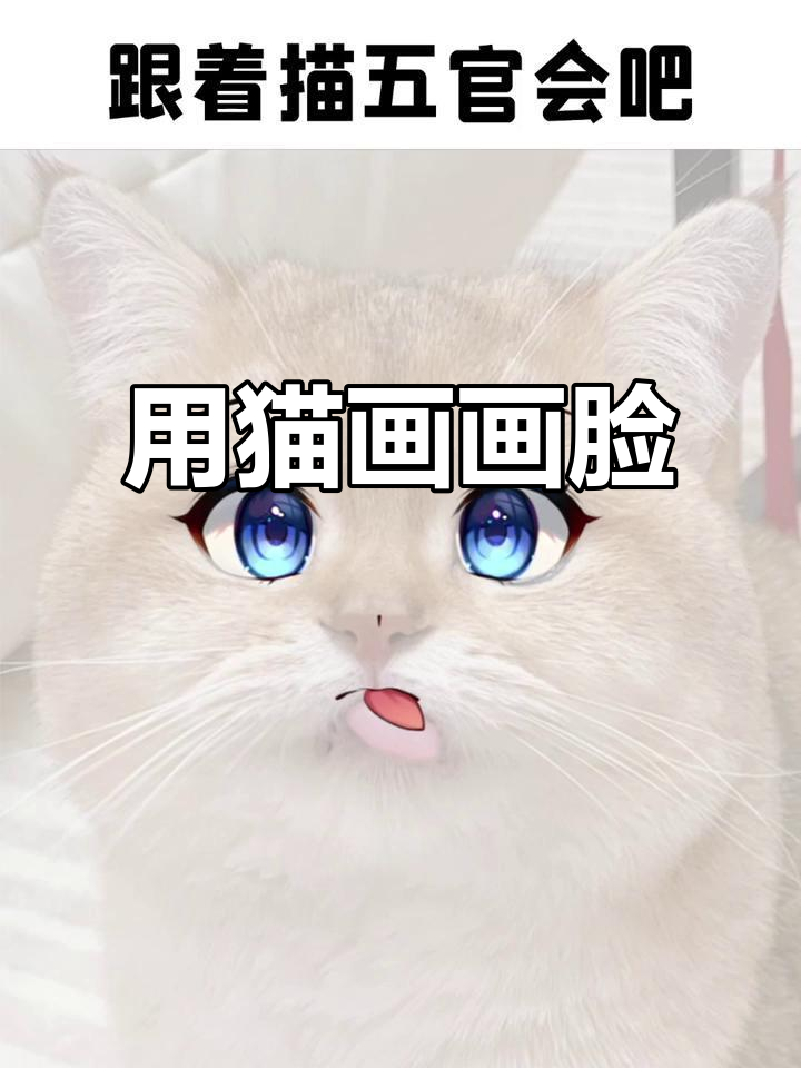 猫咪也能画脸?看如何将猫儿拟人化