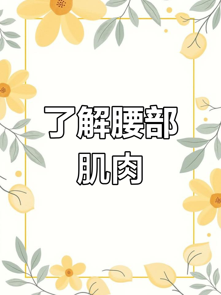 腰椎结构与腰背部肌肉详解