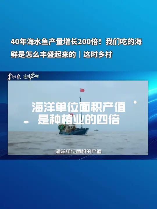 「40年海水鱼产量增长200倍!我们吃的海鲜是怎么丰盛起来的|这时乡村」我国的近海养殖目前