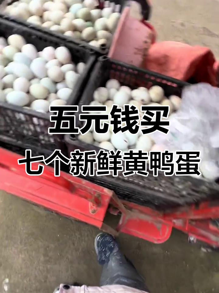淮阳清河鸭蛋,五块钱一斤超值鲜货