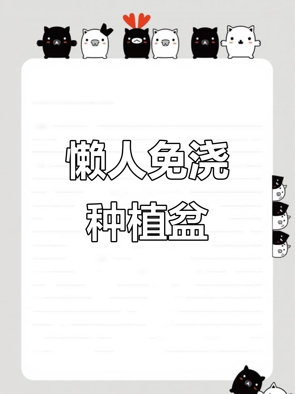 利用废油桶打造免浇水种菜盆，简单又实用