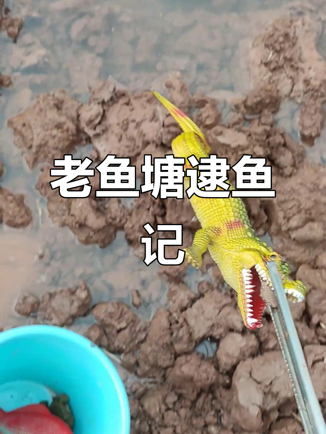 抓鱼摸虾大作战,意外发现卡通龟和玩具鱼