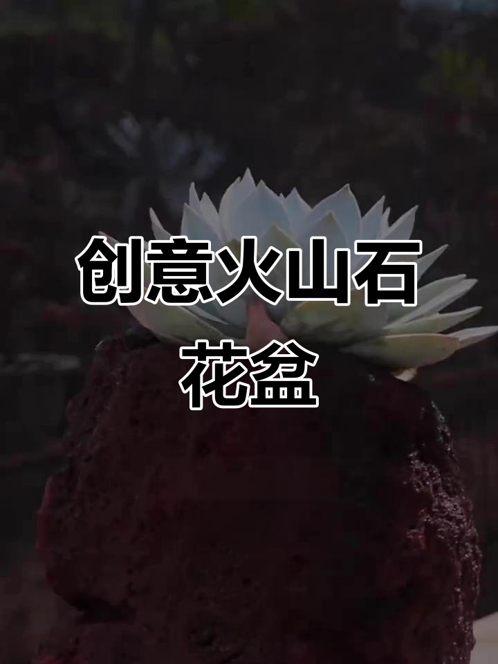 火山石花盆DIY，多肉植物新玩法