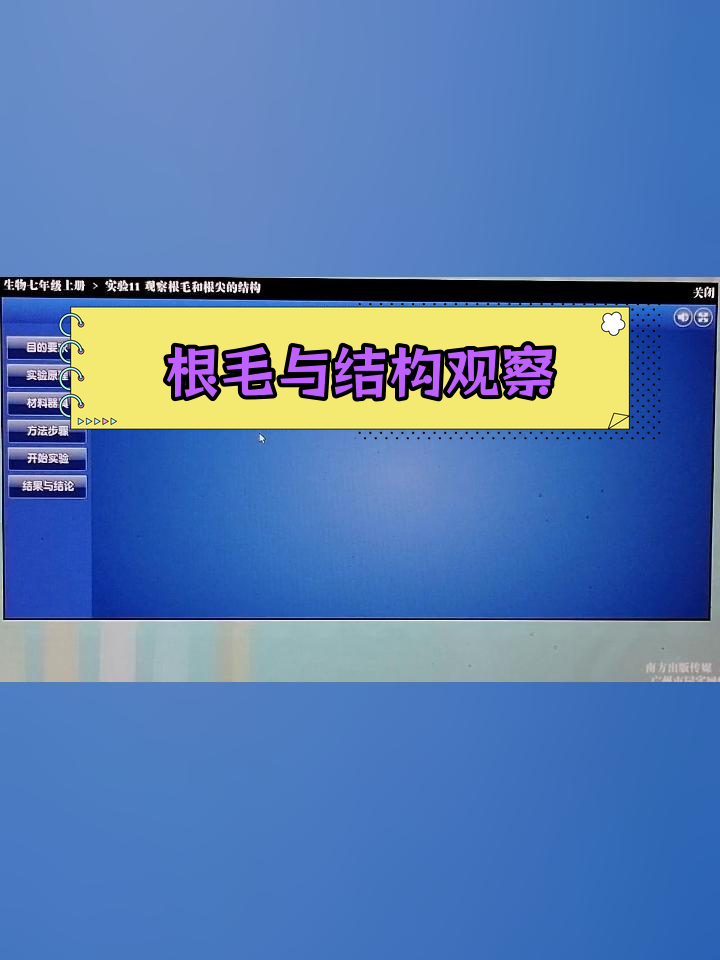 七年级生物实验:观察根毛和胶的结构