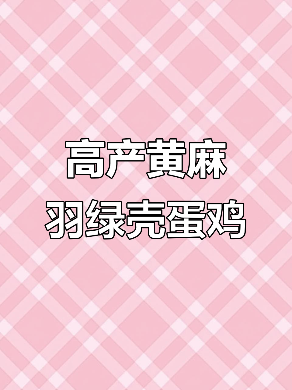 原始高产绿壳蛋鸡，体型小巧却能年产三百二十枚