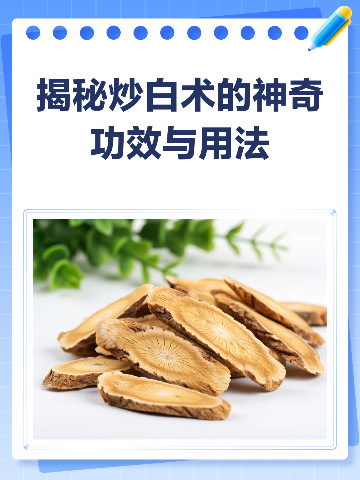 炒白术，健脾益气的中药宝藏