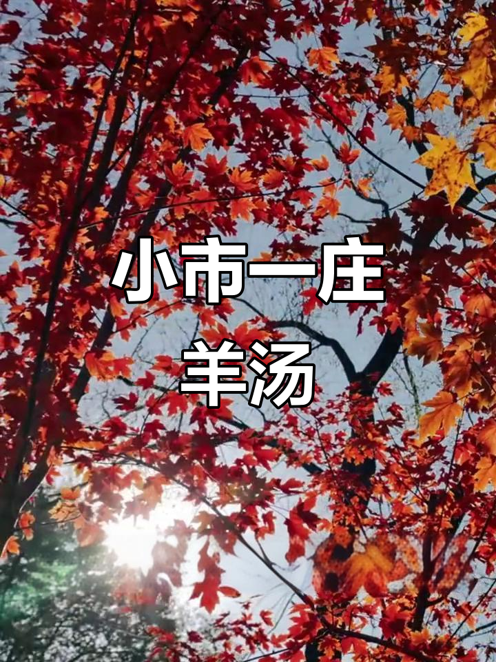 小市一庄羊汤,二十万碗的秘密与美味