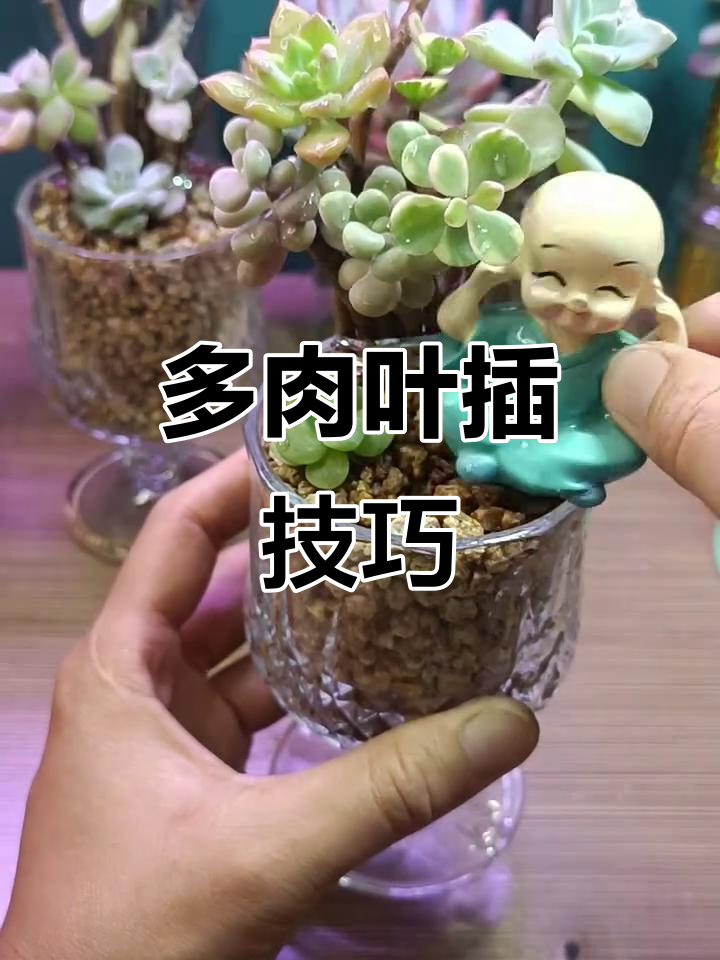 废酒杯变多肉花盆,简单步骤教你打造独特造型