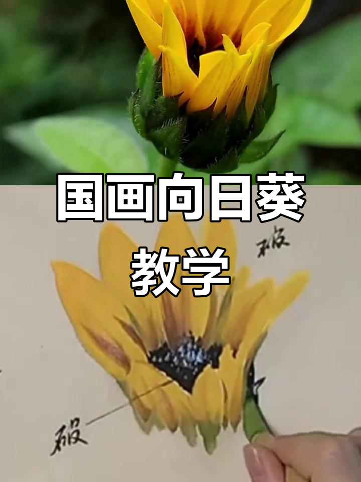 向日葵的国画寓意:失去后才懂得珍惜