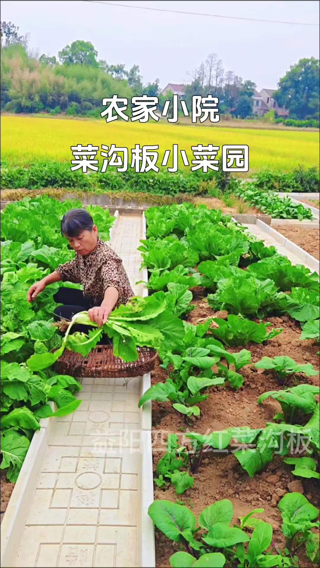 菜园 乡村田园生活 院子改造 菜沟板 农村菜园设计