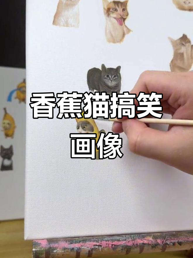 画个香蕉猫,迈巴赫同款双拼色卡姿,超萌表情包来袭