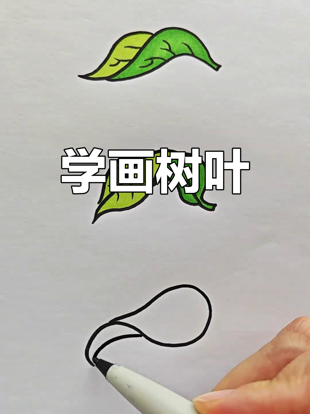 简单树叶简笔画教程