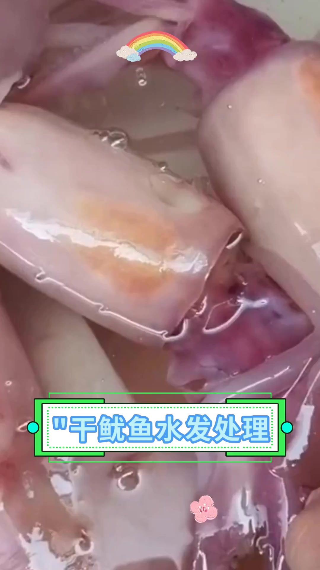“”干鱿鱼水发处理