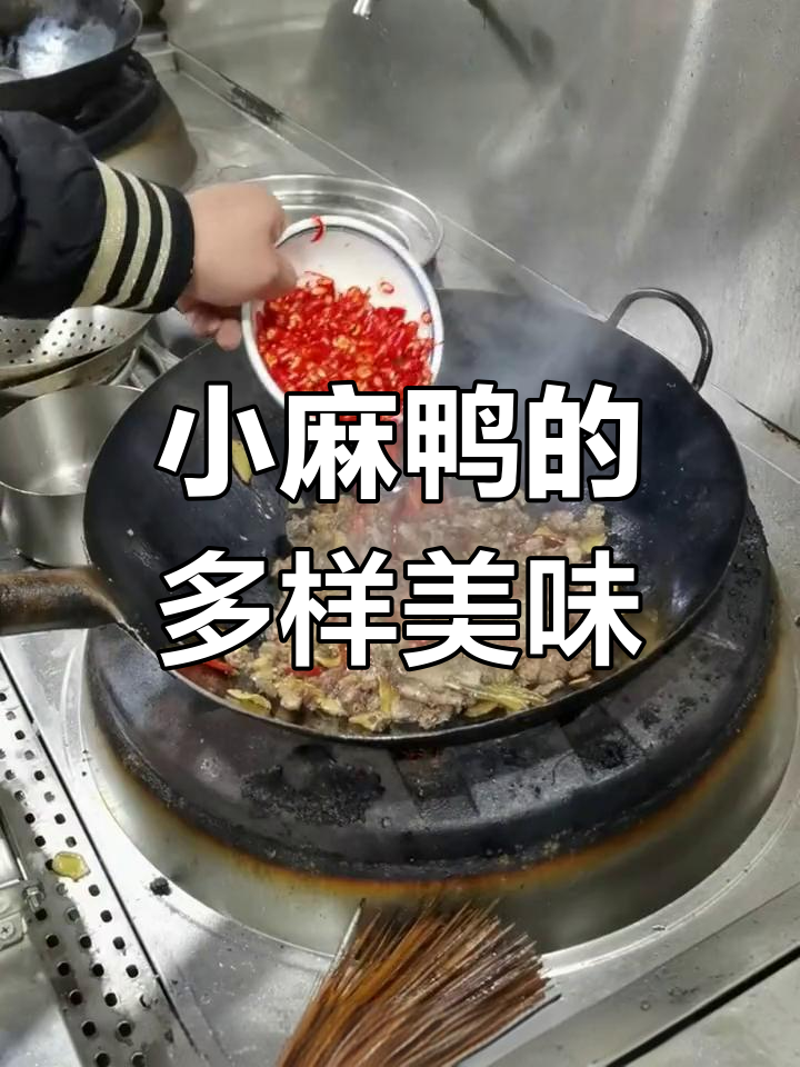 各地小麻鸭做法大比拼,各有风味,真是下饭好搭档!
