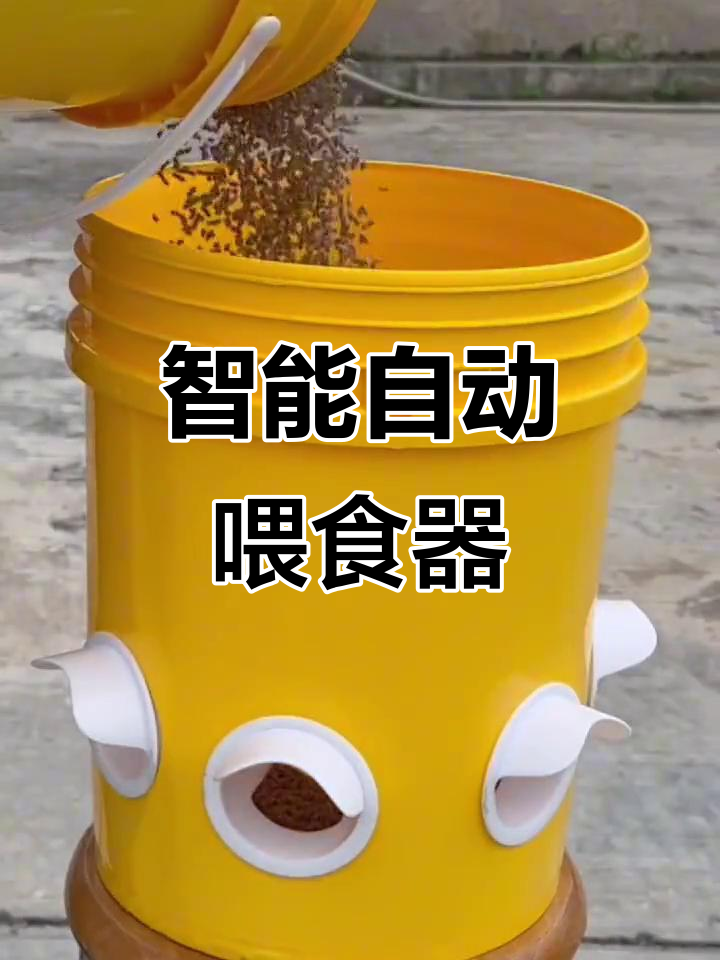 自动喂食器让养鸡更轻松,粮食自动分配不抢食