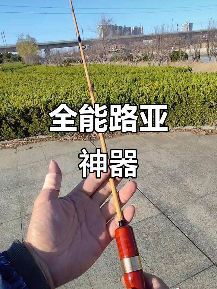 这款路亚竿全能又强悍,轻松应对各种鱼种挑战