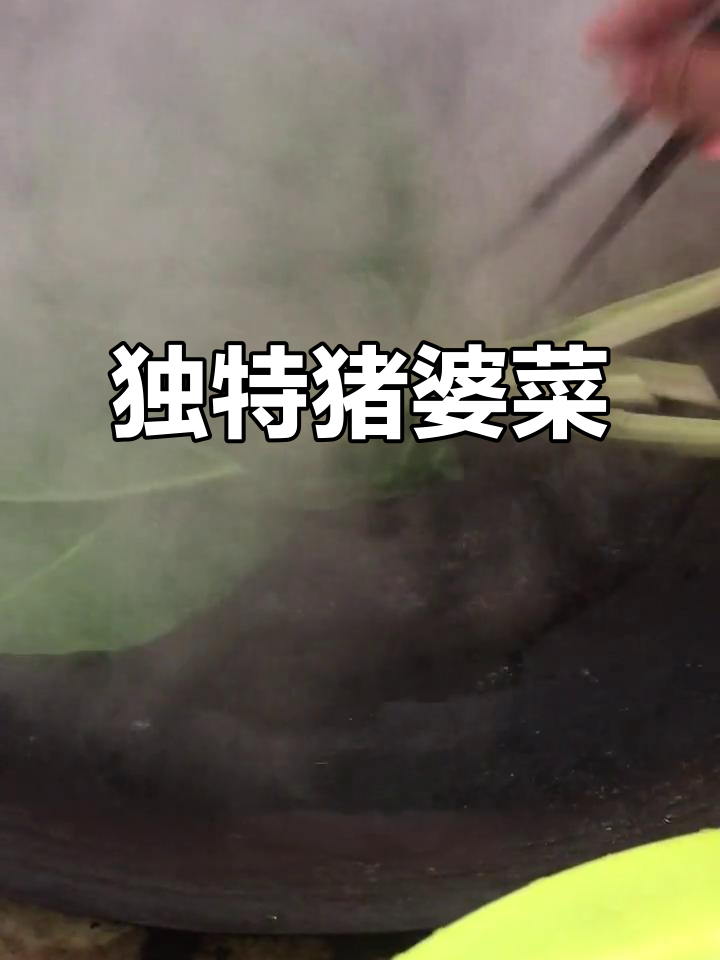 贺州独有猪婆菜包,外地少见,竟是喂猪的食材!