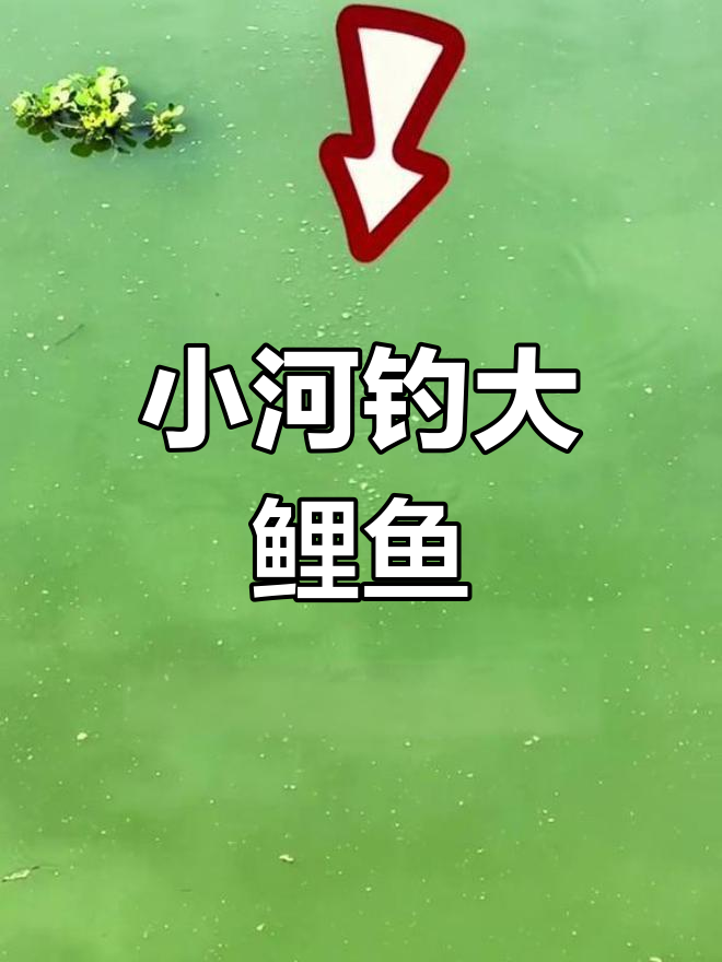 这条小河竟藏大鲤鱼,卫星地图助钓鱼人选位