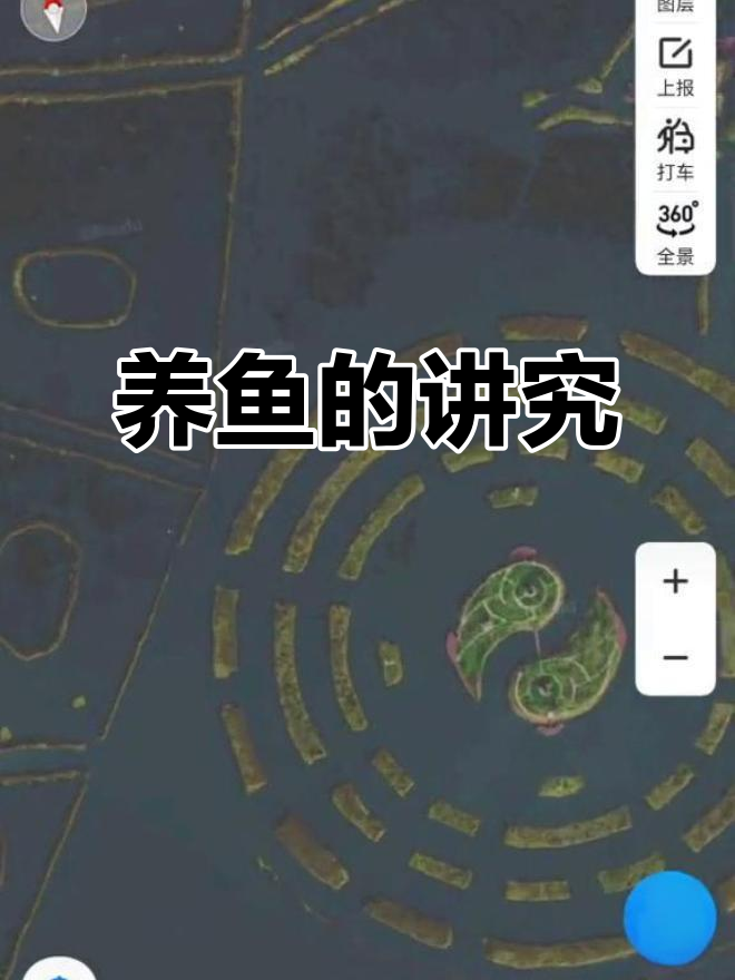 养鱼也能看风水,选对位置财运来!