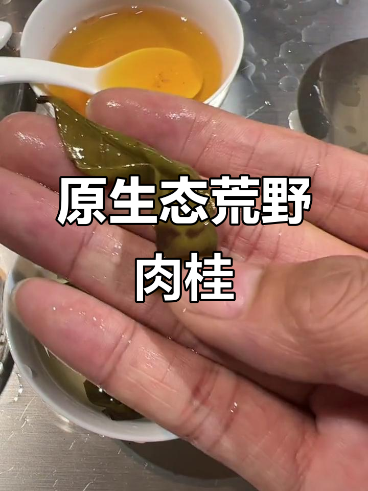 荒野肉桂的独特魅力,原生态茶叶品鉴