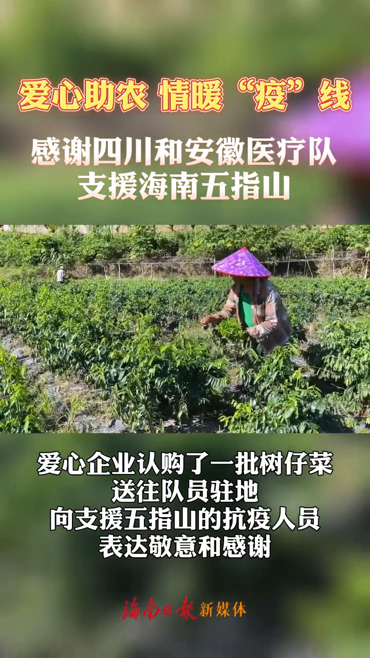 爱心企业认购了一批五指山“野菜”,送往队员驻地