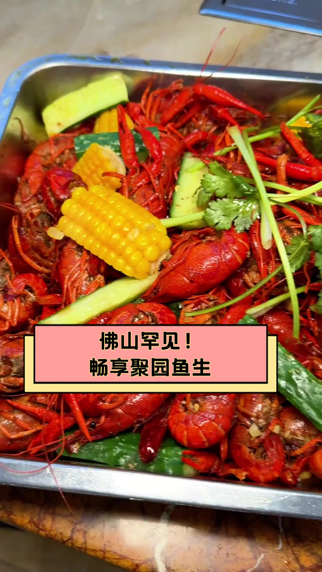 佛山罕见!畅享聚园鱼生