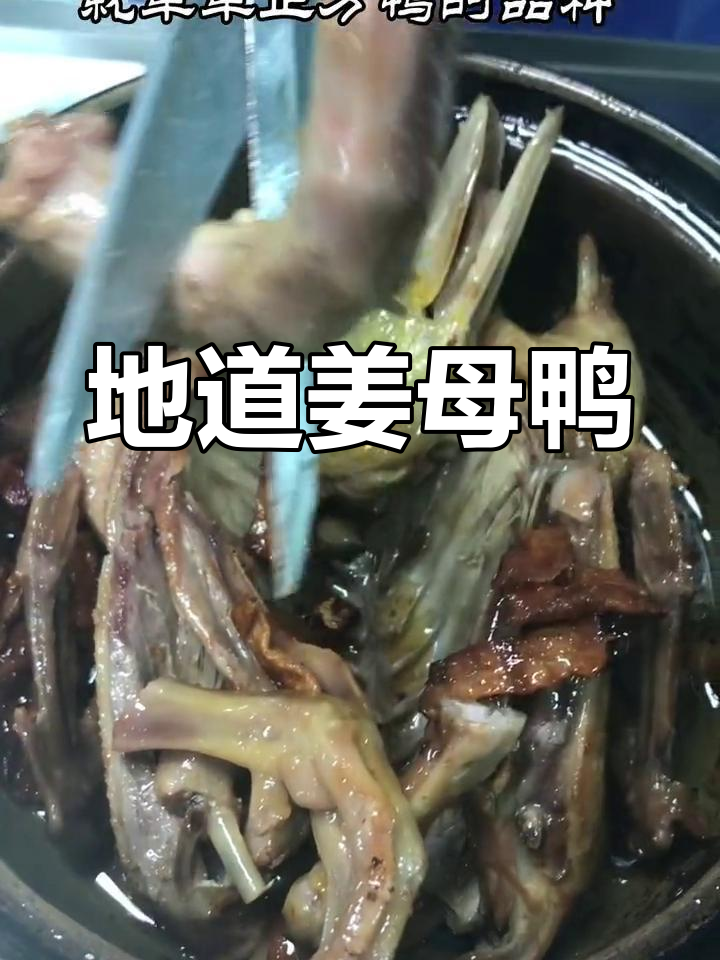 传统闽南姜母鸭,鲜美紧致