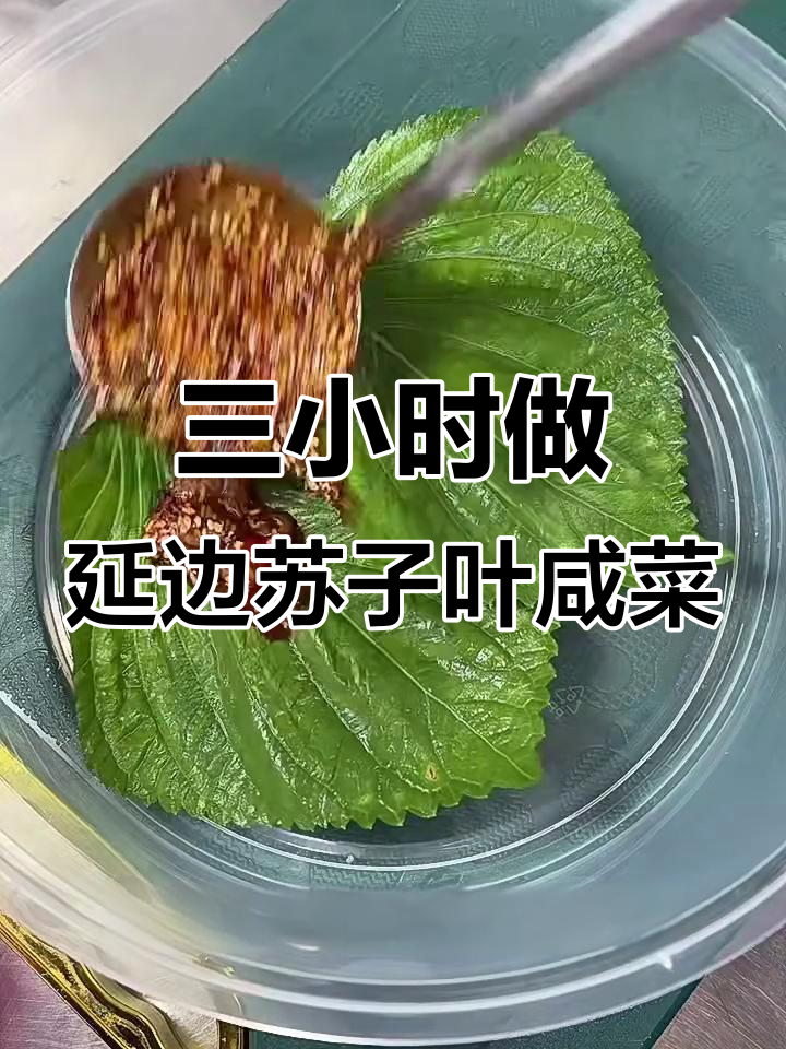延边苏子叶咸菜制作秘籍,三小时搞定美味小菜
