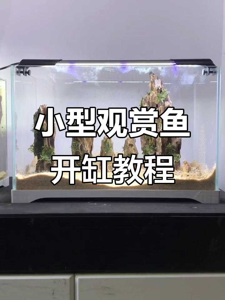 松皮石鱼缸造景，过滤系统开启全过程