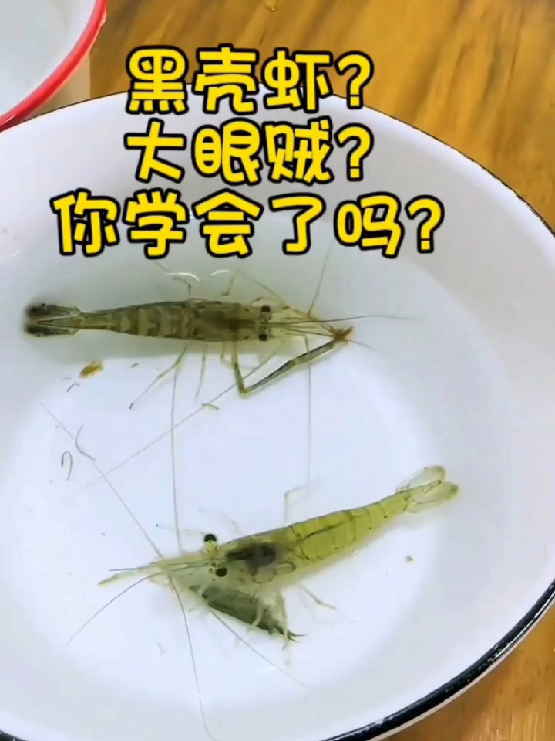 区分黑壳虾和大眼贼的方法,草缸除藻神器