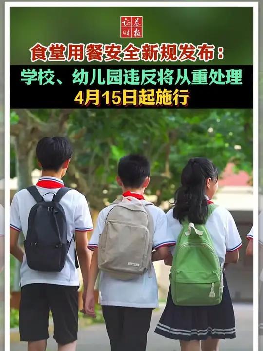 食堂用餐安全新规发布:学校、幼儿园违反将从重处理,4月15日起施行