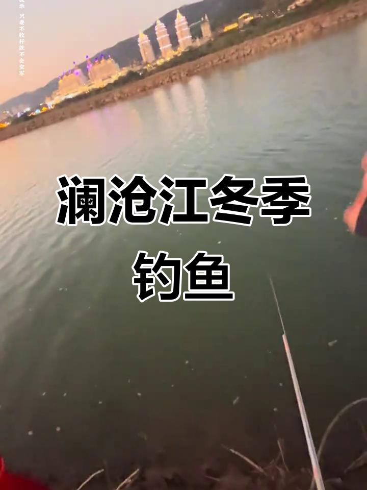 澜沧江钓鱼挑战:冷天换小钩,守钓罗非鱼
