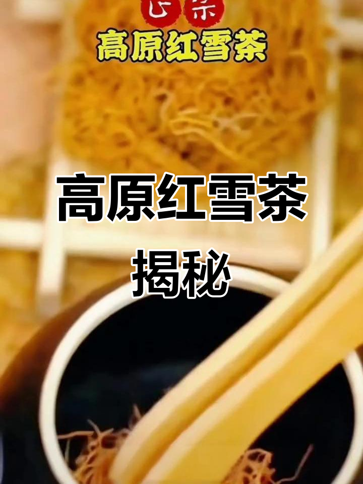 青藏高原红雪茶,金丝红血茶的独特魅力