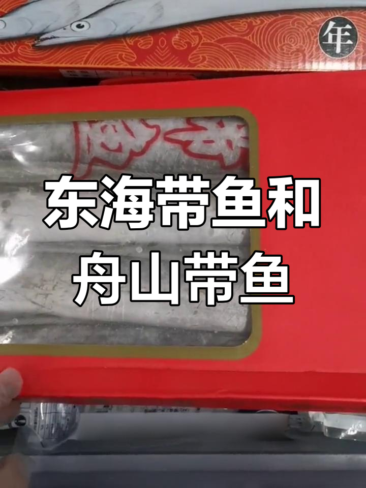 东海带鱼与舟山带鱼的差异解析