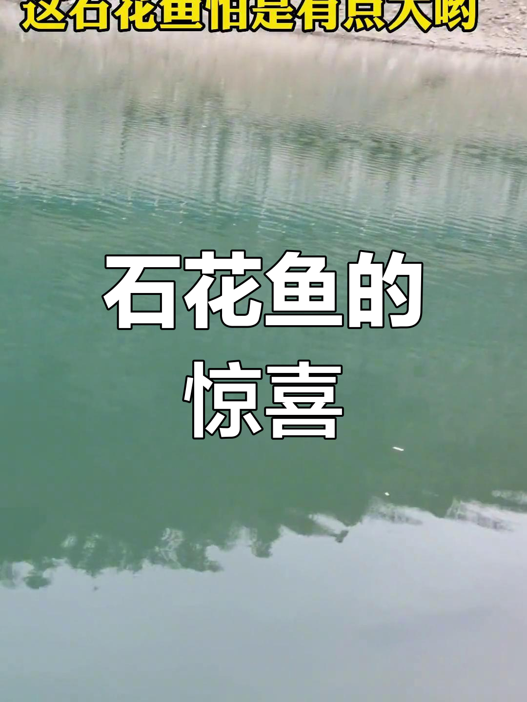 这条石花鱼有多大?钓鱼的乐趣你懂