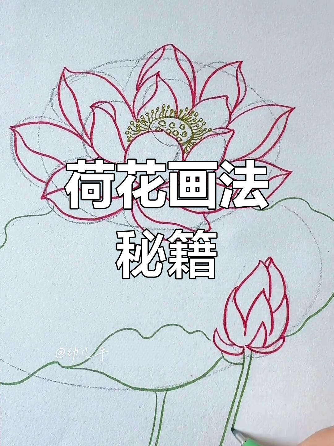 荷花画法全解析,赶紧收藏!