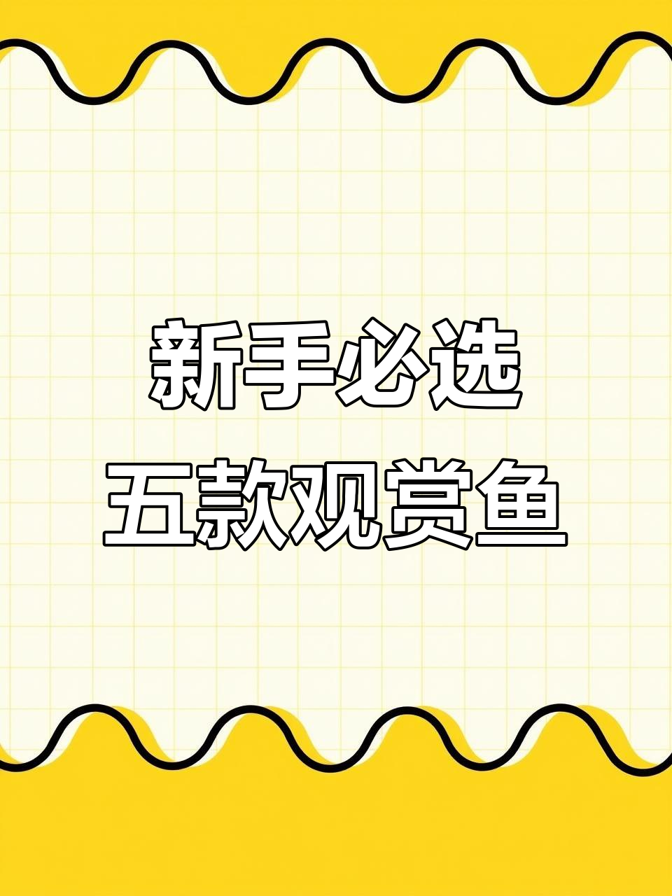 适合新手养的五大观赏鱼，皮实好养又美丽