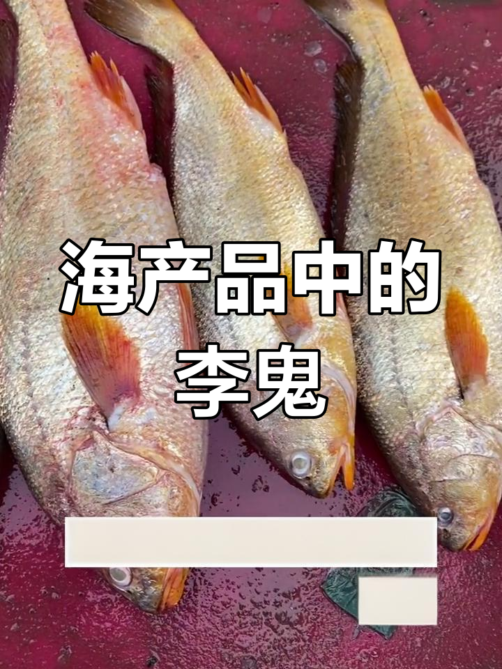 假黄鱼虽少,但仍有存在