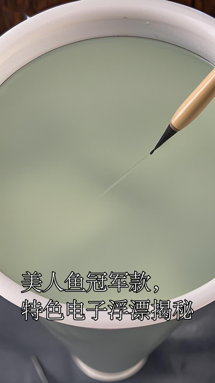 美人鱼冠军款,特色电子浮漂揭秘