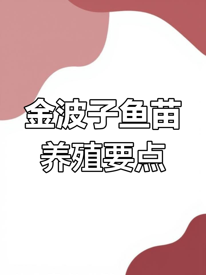 金波子鱼苗饲养技巧:如何避免吃撑引发肠炎