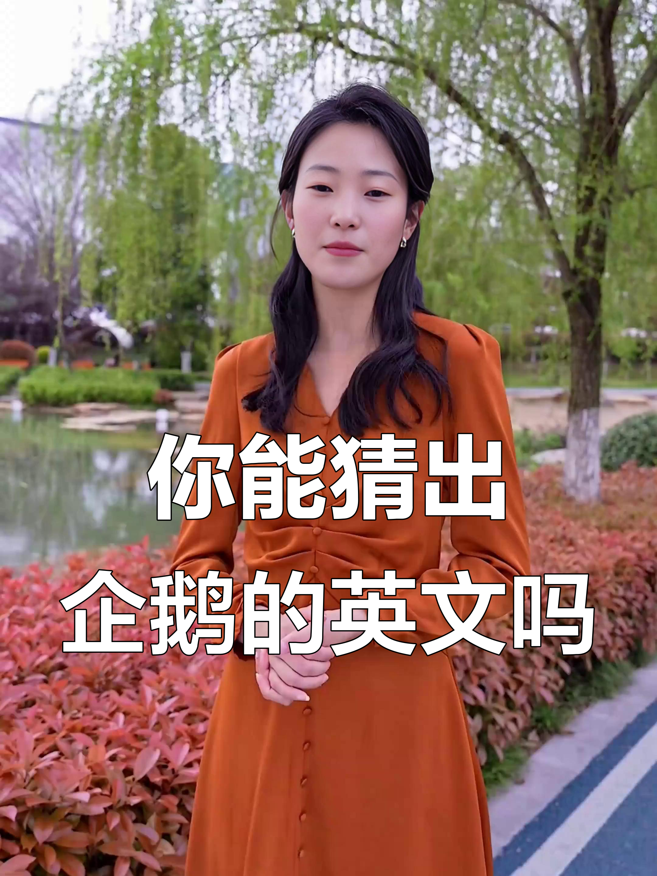 英语考倒我了,企鹅怎么用英文说?