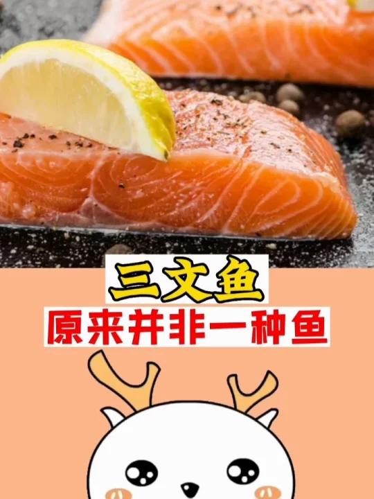三文鱼,原来并非一种鱼