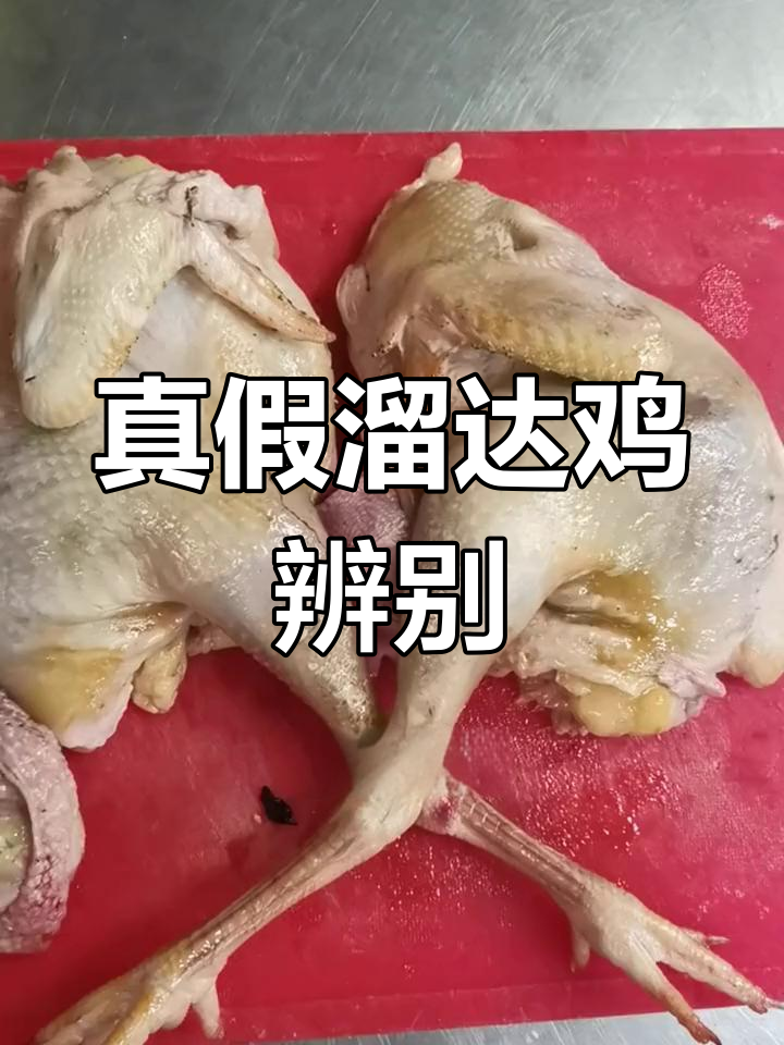 淘汰蛋鸡与散养老母鸡的区别,价格差异大揭秘