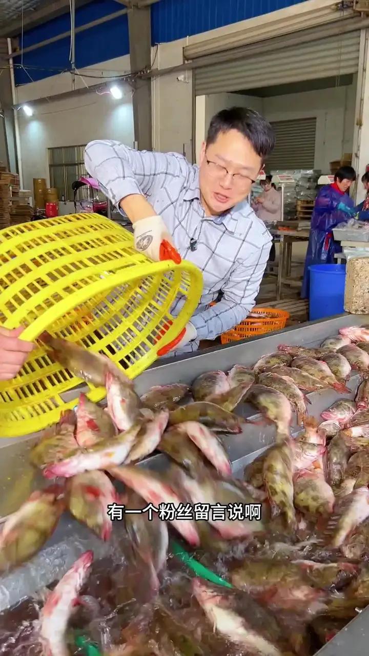 是哪个说的现在鳜鱼20块钱一斤?你有多少我收多少