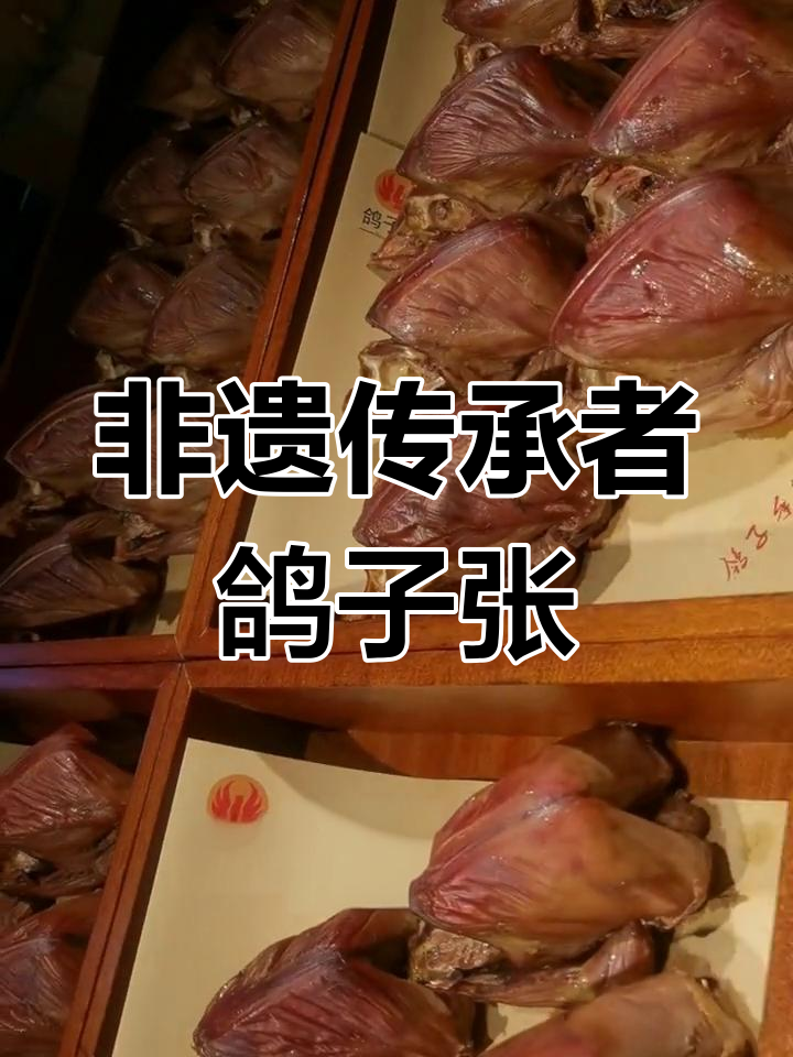 京城鸽子张:岁月流转中的非遗传承与心酸故事