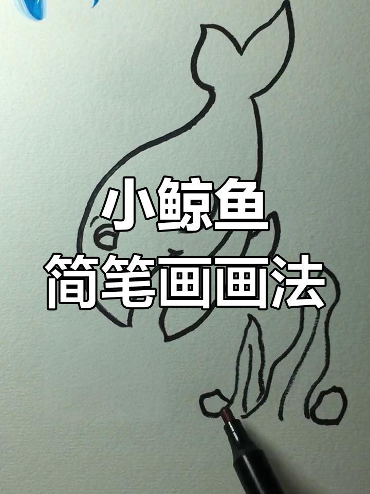 简单又可爱的鲸鱼简笔画,轻松学会!