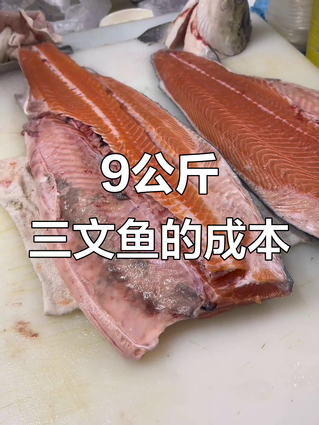 三文鱼成本大揭秘!九公斤三文鱼的进价到底是多少?