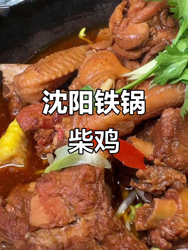 沈阳沙岭铁锅柴鸡，口感鲜美让人怀念