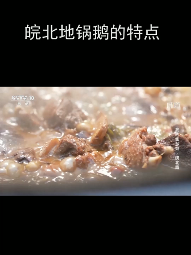 皖北地锅鹅的特点